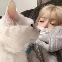 八卦小能手